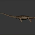 Realistic 3D Plesiosaur Dinosaur Model With Long Neck And Flippers on Dark Reflective Surface 3d model
