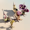 Unique Exotic Flowers with Purple White Petals Pink Spherical Structures Red Root Bases