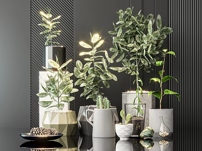 Stylish Potted Bonsai Plants With Geometric Gray Planters Decorative Pinecones And Glass Vessels 3d model