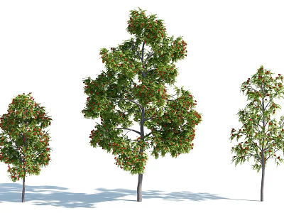 The Modern Tree 3d model
