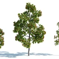 The Modern Tree 3d model