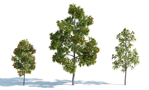 The Modern Tree 3d model