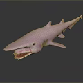Pink Shark With Sharp Teeth On Dark Background Showing Clear Reflection 3d model