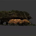 Natural Wooden Log Display With Stone Base And Orange Mushrooms On Textured Surface