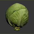 Fresh Green Cabbage With Vibrant Leaves Round Shape On Dark Background
