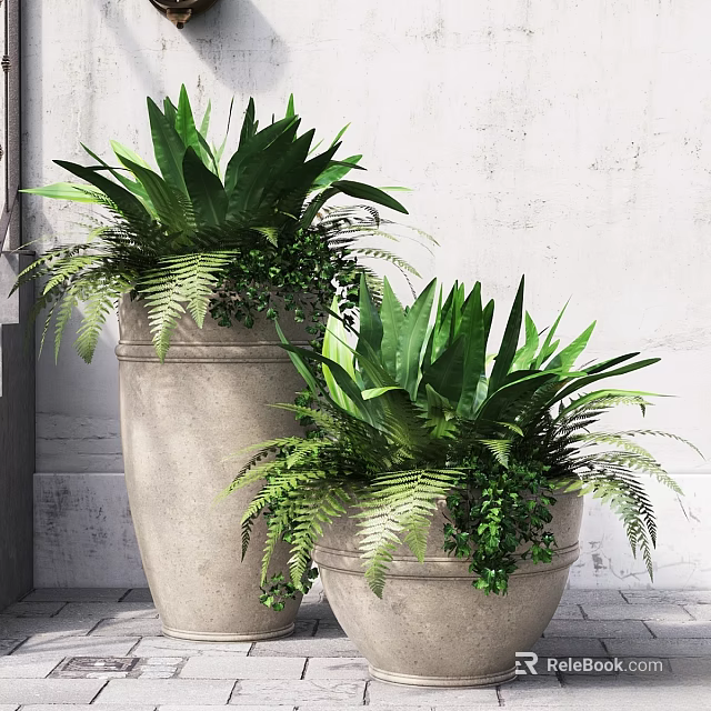 Decorative Ornament Set with Concrete Planters Lush Green Plants Ferns and Large Leaves 3d model 