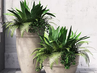 Decorative Ornament Set with Concrete Planters Lush Green Plants Ferns and Large Leaves 3d model
