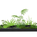 Green Plants Arrangement in Black Rectangular Container With Ferns Grass Pebbles and Moss