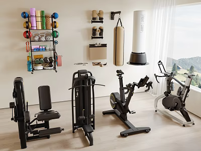 Sports Equipment in Home Gym with Wall Mounted Dumbbells Punching Bag and Exercise Machines 3d model