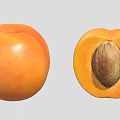 Fresh Whole Apricot and Halved with Visible Seed on Light Background