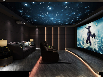 modern video room model