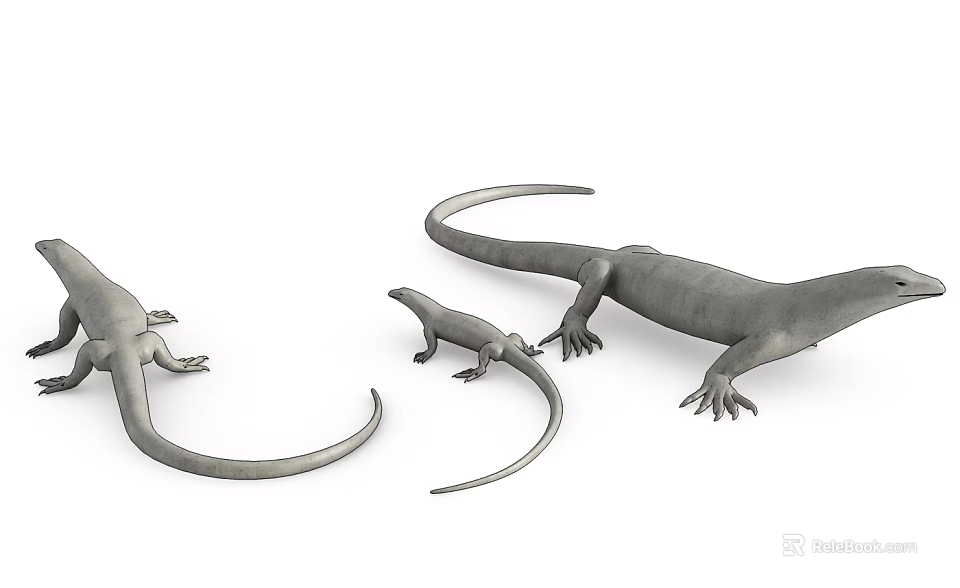 Gray Reptile Lizards Small Medium And Large Sizes On White Background 3d model