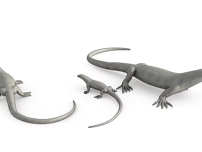 Modern lizard animal lizard 3d model Modern lizard animal lizard 3d model