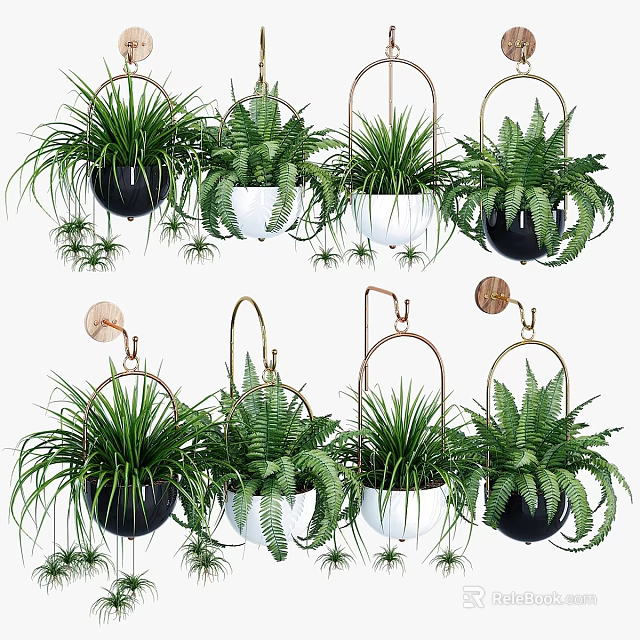 Hanging Garden Decor With Green Ferns In Black White Pots And Metal Hooks 3d model 