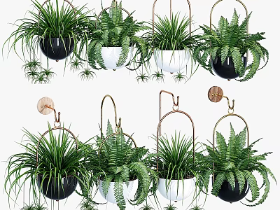 Hanging Garden Decor With Green Ferns In Black White Pots And Metal Hooks 3d model