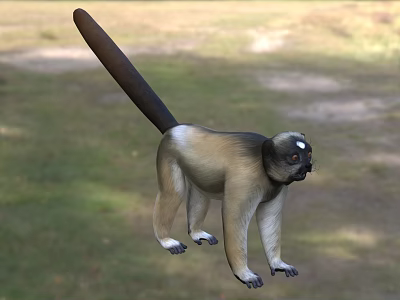 Long Tailed Reptile Standing On Green Grassland In Natural Outdoor Habitat 3d model