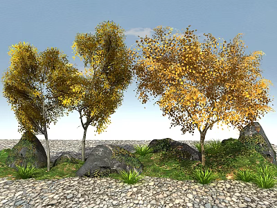 Golden Leaf Deciduous Trees With Rocks Grass And Pebble Ground Under Blue Sky 3d model