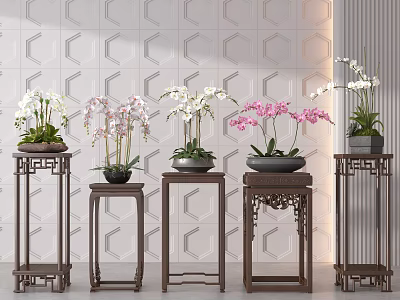 Bonsai Plants with White and Pink Orchids on Wooden Plant Stands Against Geometric Wall 3d model