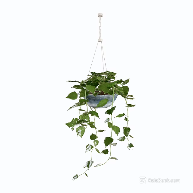 Lush Hanging Basket Green Plants With Trailing Fresh Leaves For Home Decor 3d model 