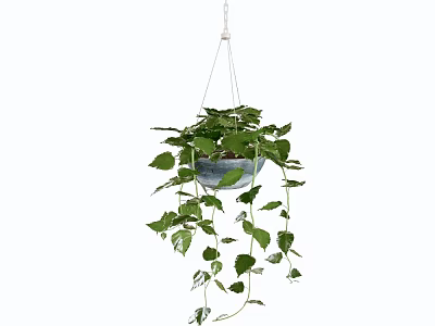 Lush Hanging Basket Green Plants With Trailing Fresh Leaves For Home Decor 3d model