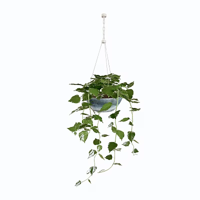 Lush Hanging Basket Green Plants With Trailing Fresh Leaves For Home Decor 3d model