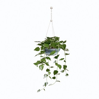 Modern hanging basket hanging basket plant potted plant 3d model