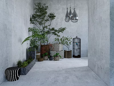 Bonsai Potted Plants In Modern Indoor Space With Gray Walls And Hanging Pendant Lights 3d model