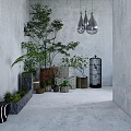 Bonsai Potted Plants In Modern Indoor Space With Gray Walls And Hanging Pendant Lights