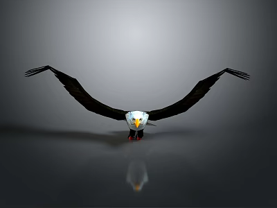 3D Rendered Eagle Animal Artwork With Spread Wings Gray Background And Floor Reflection 3d model
