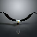 3D Rendered Eagle Animal Artwork With Spread Wings Gray Background And Floor Reflection