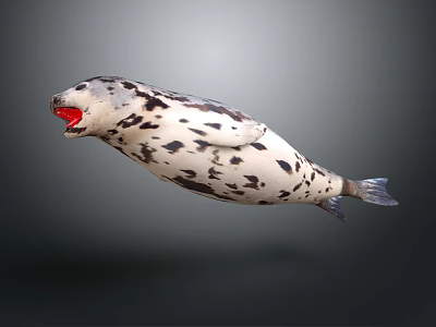 Spotted Seal With Open Mouth Floating In Dark Background 3D Rendering 3d model