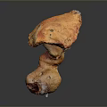 Crispy Roasted Orange Yellow Mushroom With Unique Shape And Delicious Taste