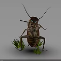Anthropomorphic Cockroach Standing With Green Eyes Holding Bottle Among Green Grass On Dark Background