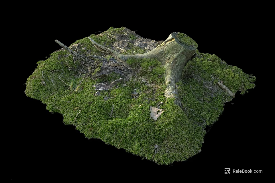 Stone and Wood Moss Covered Tree Stump with Twigs in Natural Setting 3d model 