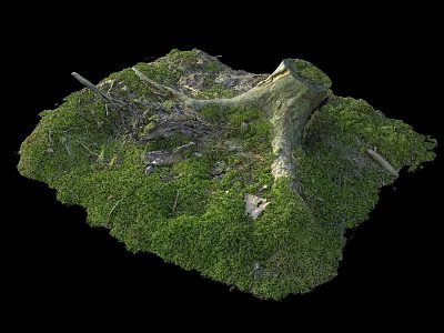 Stone and Wood Moss Covered Tree Stump with Twigs in Natural Setting 3d model