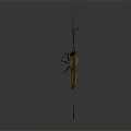 Modern Butterfly Colored Butterfly Tabby Butterfly Leaf Butterfly 3d model