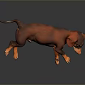 Realistic Brown And Orange Dachshund Lying Relaxed On Black Background