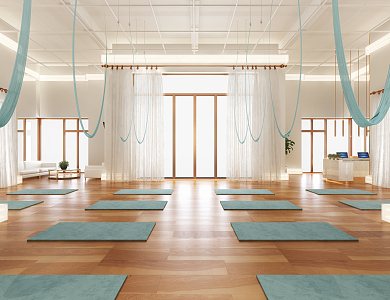 Modern Yoga Studio Yoga Shop 3d model