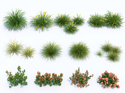 modern plant-grass combination 3d model