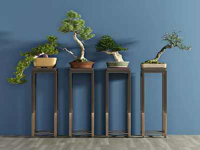 Decorative Bonsai Plants Arranged on Metal Stands Against Blue Background Wall and Wooden Floor 3d model
