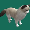 Cream And White Cat With Dark Ears Standing On Green Background