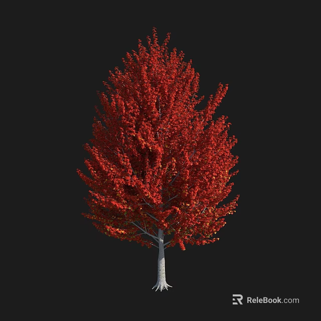 Vibrant Autumn Tree With Lush Red Leaves And Tall Straight Trunk 3d model 