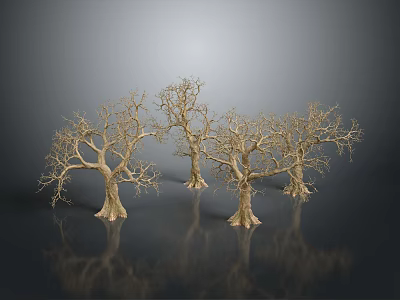 Four Leafless Trees With Thick Trunks And Slender Branches On Gray Gradient Background With Reflections 3d model