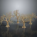 Four Leafless Trees With Thick Trunks And Slender Branches On Gray Gradient Background With Reflections