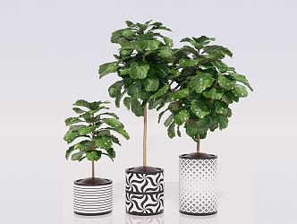 modern potted plant green plant potted plant green plant furnishings plant furnishings 3d model