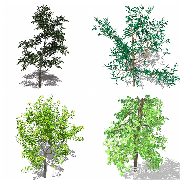 Various Arbor Trees with Green Leaves and Natural Trunks in Landscape Design 3d model 