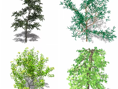 Various Arbor Trees with Green Leaves and Natural Trunks in Landscape Design 3d model