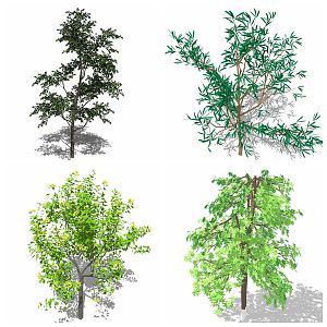 Modern Tree Flowers Greenery Plants Outdoor Forest 3d model