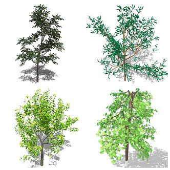 Modern Tree Flowers Greenery Plants Outdoor Forest 3d model