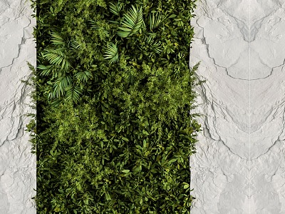 Green Plant Wall Plant Wall Green Wall Ecological Wall Plant Green Wall model